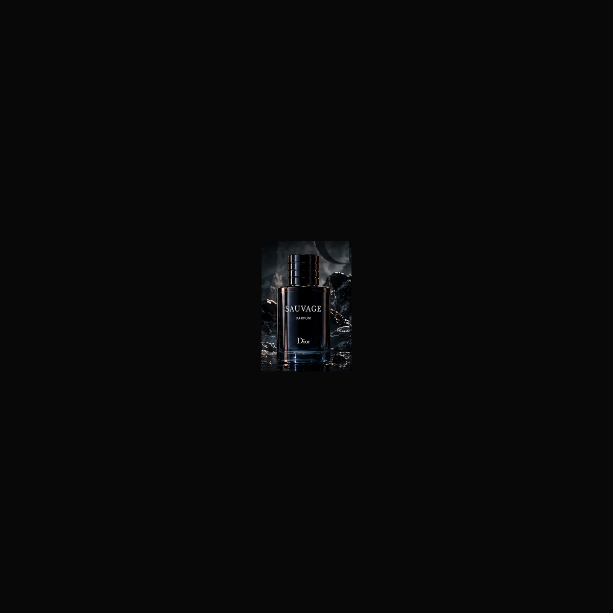 Dior Sauvage Parfum NOCTURNE concept artwork
